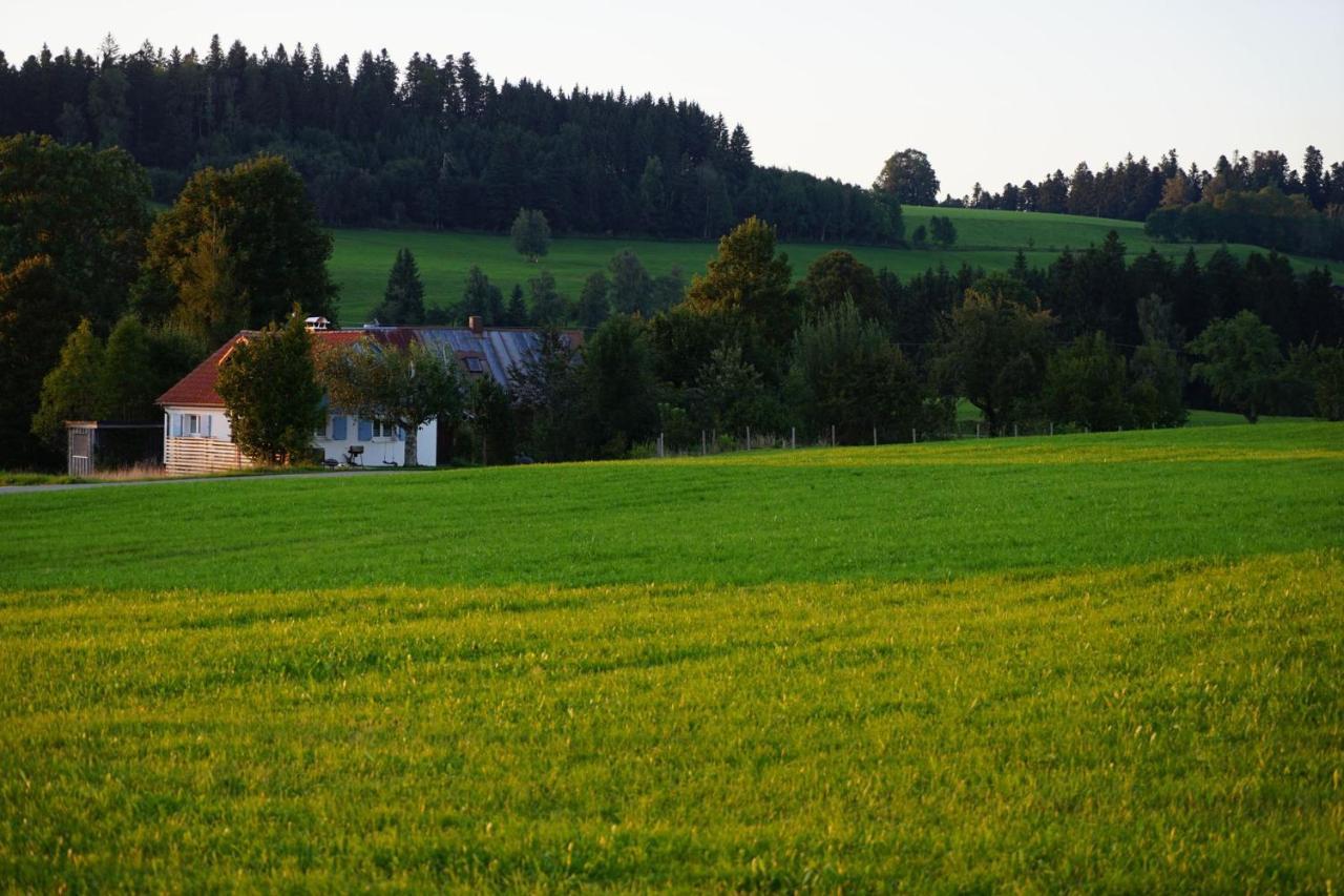 Knuschbrhaisle Oberreute Eksteriør billede